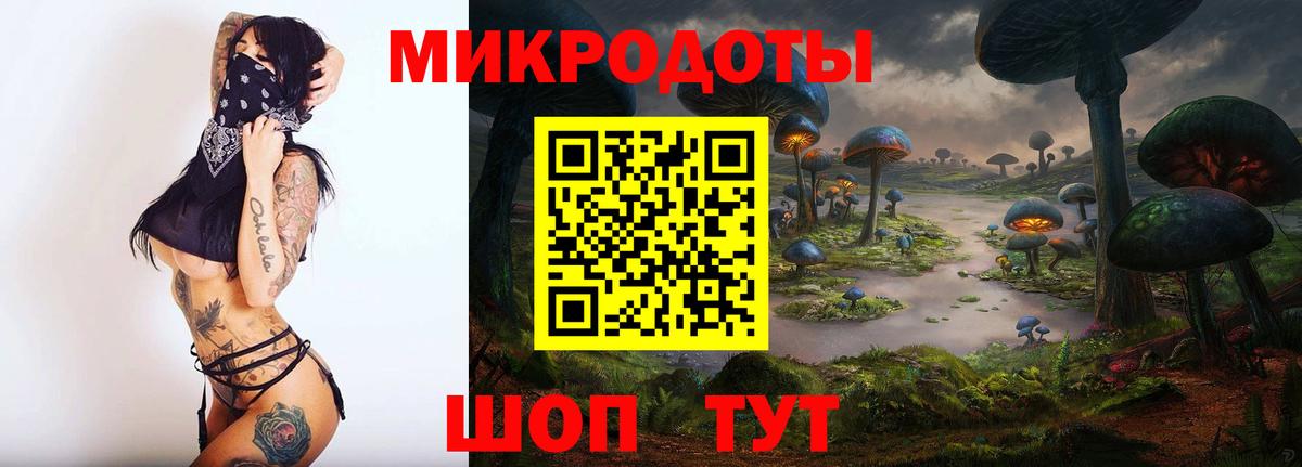 Псилоцибиновые грибы мухоморы  наркота  Вход с VPN  Кимры  Галлюциногенные грибы Psilocybe 